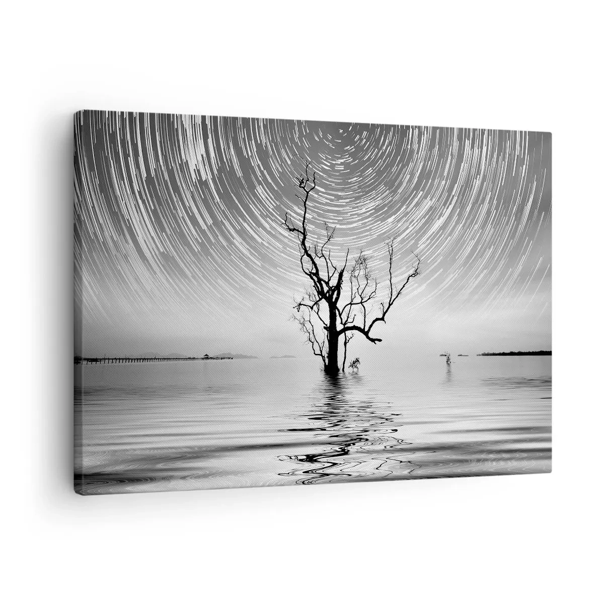 Obraz na plátne - Strom vo vode pod nočnou oblohou s pohybujúcimi sa hviezdami - 70x50cm - Symfónia prírody - Moderná nástenná dekorácia do obývacej izby a spálne ARTTOR