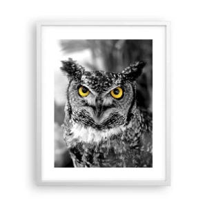 Plagát v bielom ráme - Nič sa neschová - 40x50 cm