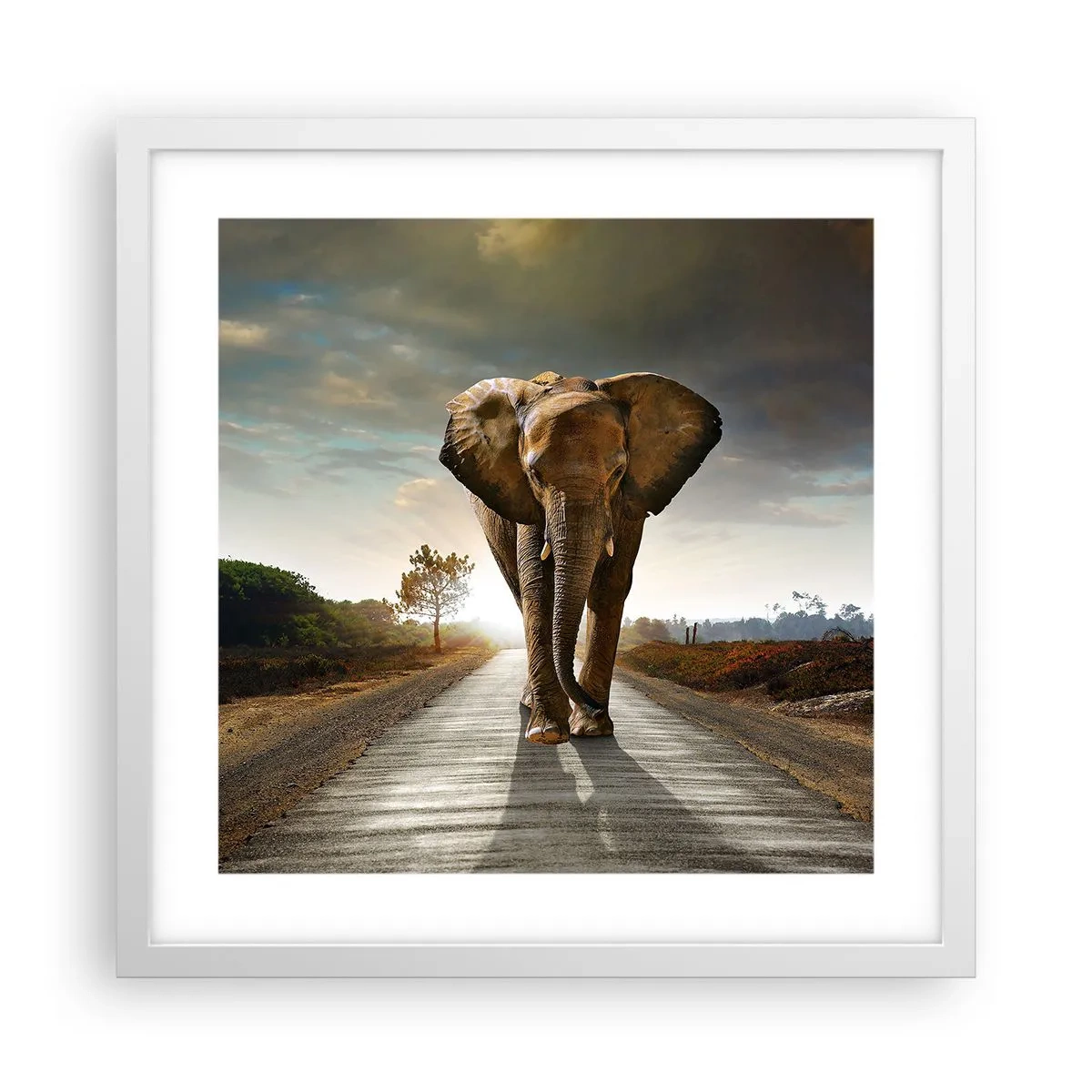 Plagát v bielom ráme - A vôbec nie v sklade porcelánu - 40x40 cm