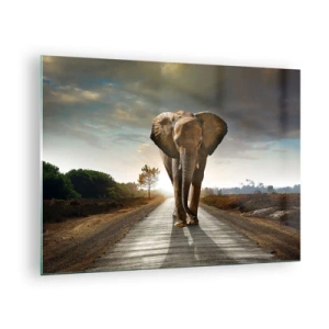 Obraz na skle - Slon kráčajúci po ceste pri západe slnka - 70x50cm - A vôbec nie v sklade porcelánu - Moderná nástenná dekorácia do obývacej izby a spálne ARTTOR