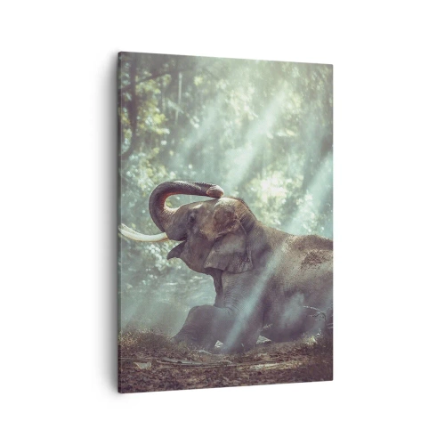 Obraz na plátne - A počuj toto… - 50x70 cm