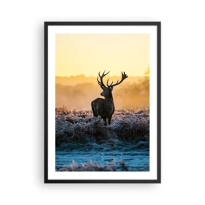 Plagát v čiernom ráme - Jeleň na mrazivej čistinke pri východe slnka - 50x70cm - Korunovaný na svojom panstve - Moderná nástenná dekorácia do obývacej izby a spálne ARTTOR