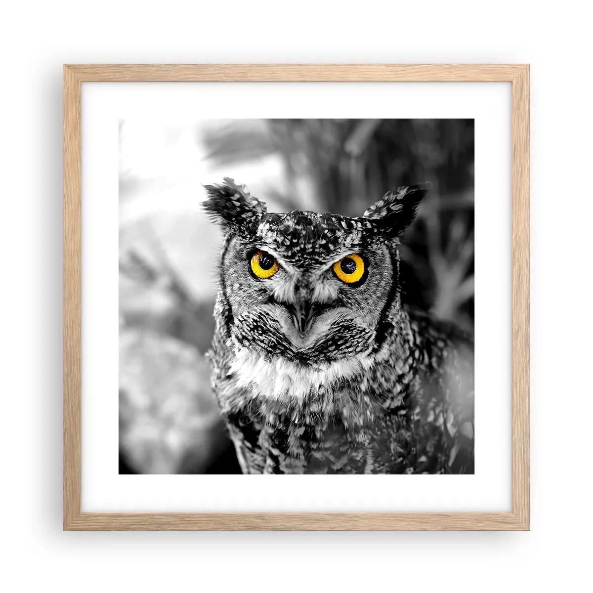 Plagát v ráme zo svetlého duba - Nič sa neschová - 40x40 cm