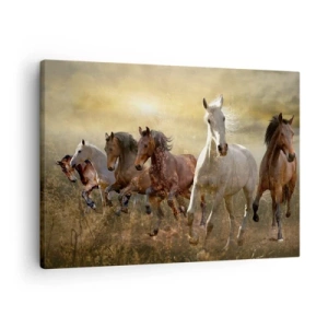 Obraz na plátne - Skupina cválajúcich koní na pozadí zapadajúceho slnka - 70x50cm - Nech žije sloboda! - Moderná nástenná dekorácia do obývacej izby a spálne ARTTOR