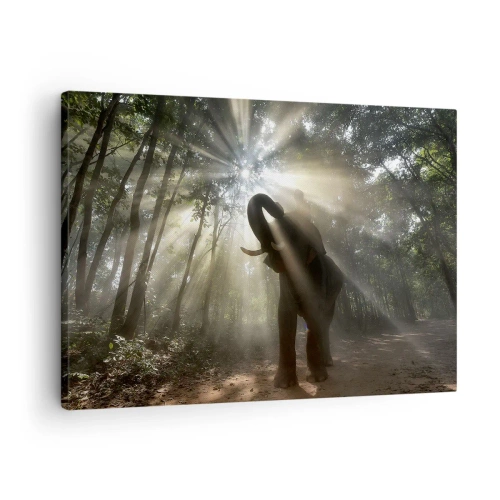 Obraz na plátne - Slon v lese obklopený lúčmi svetla v rannej hmle - 70x50cm - Pod šťastnou hviezdou - Moderná nástenná dekorácia do obývacej izby a spálne ARTTOR