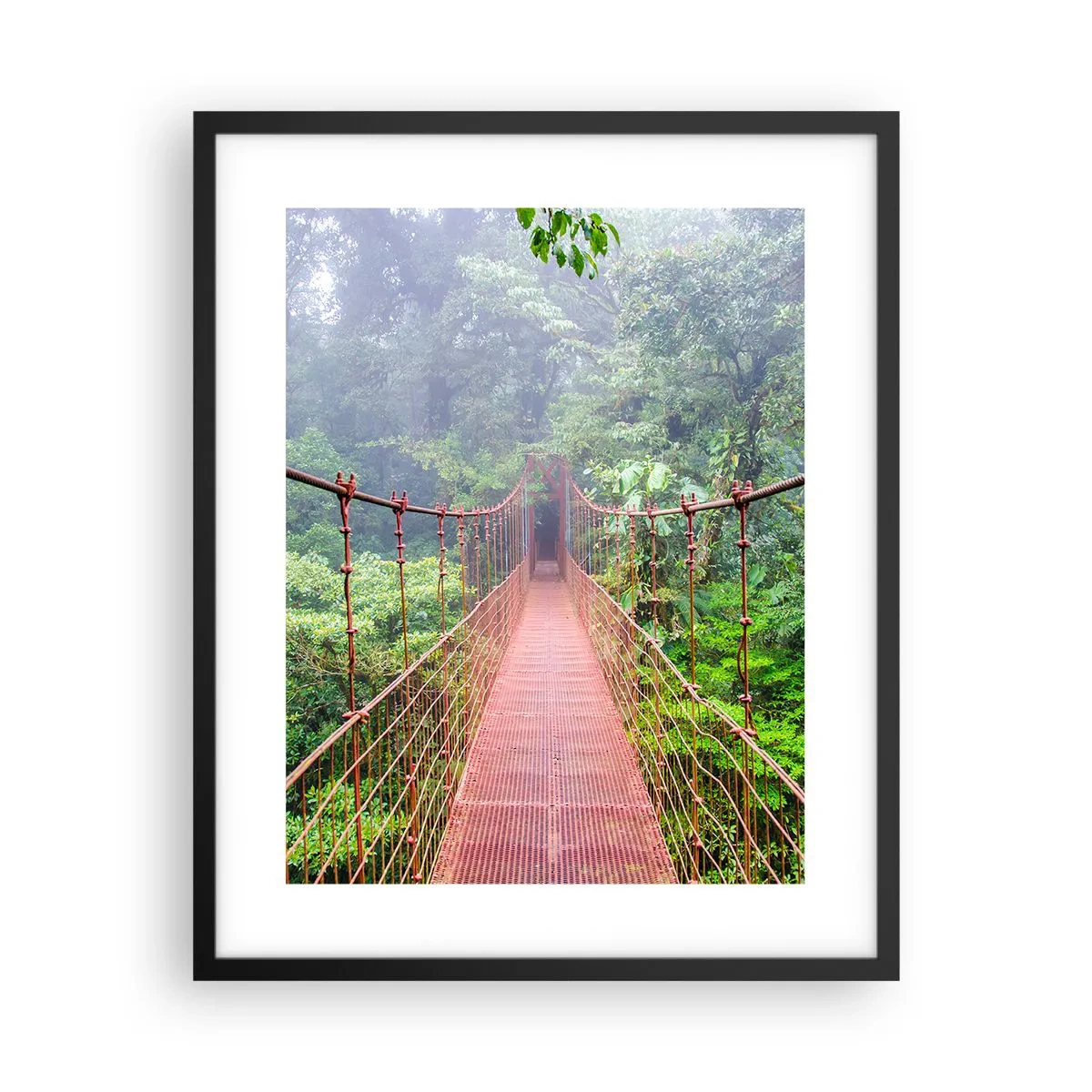 Plagát v čiernom ráme - Zavesený nad korunami - 40x50 cm