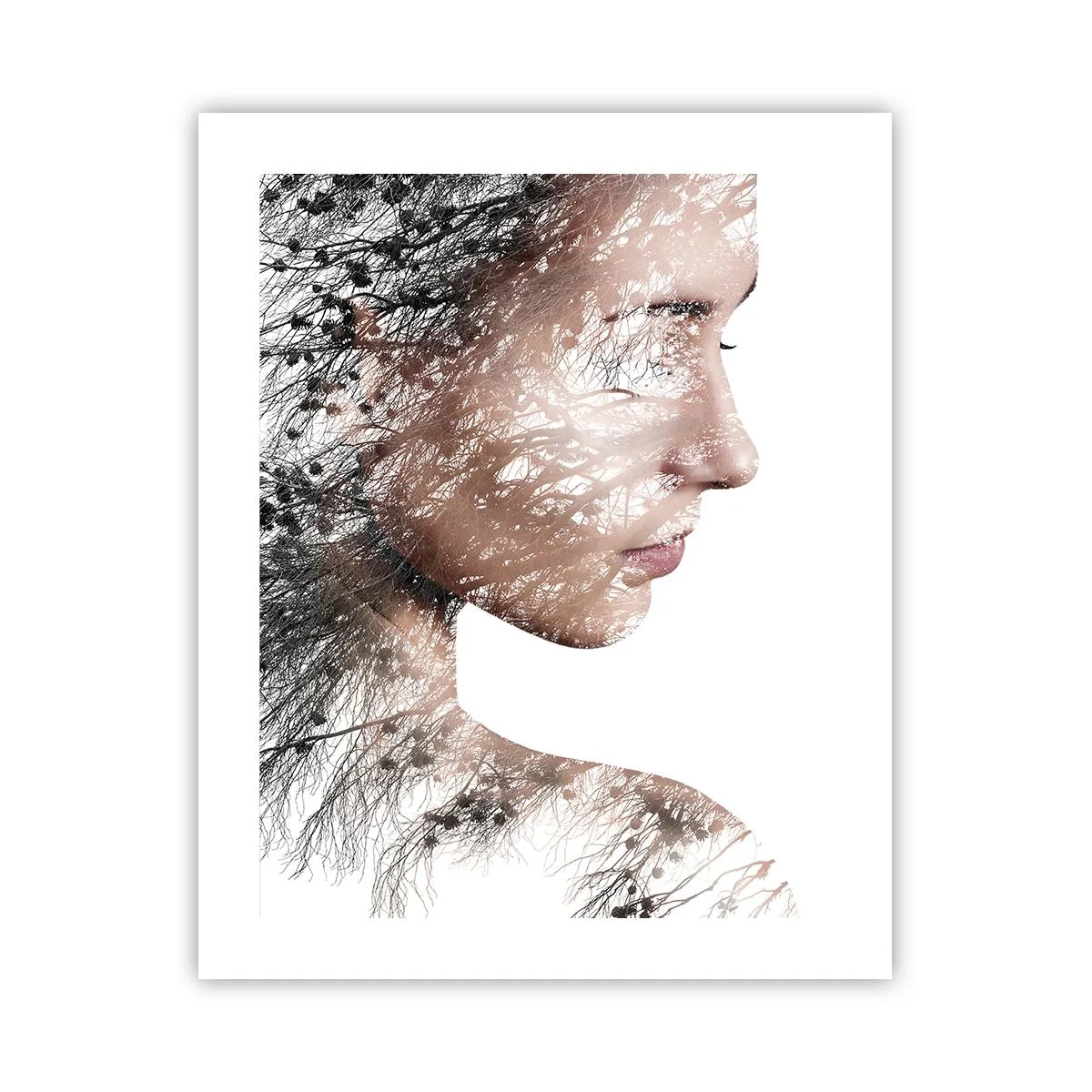 Plagát - Duch lesa - 40x50 cm