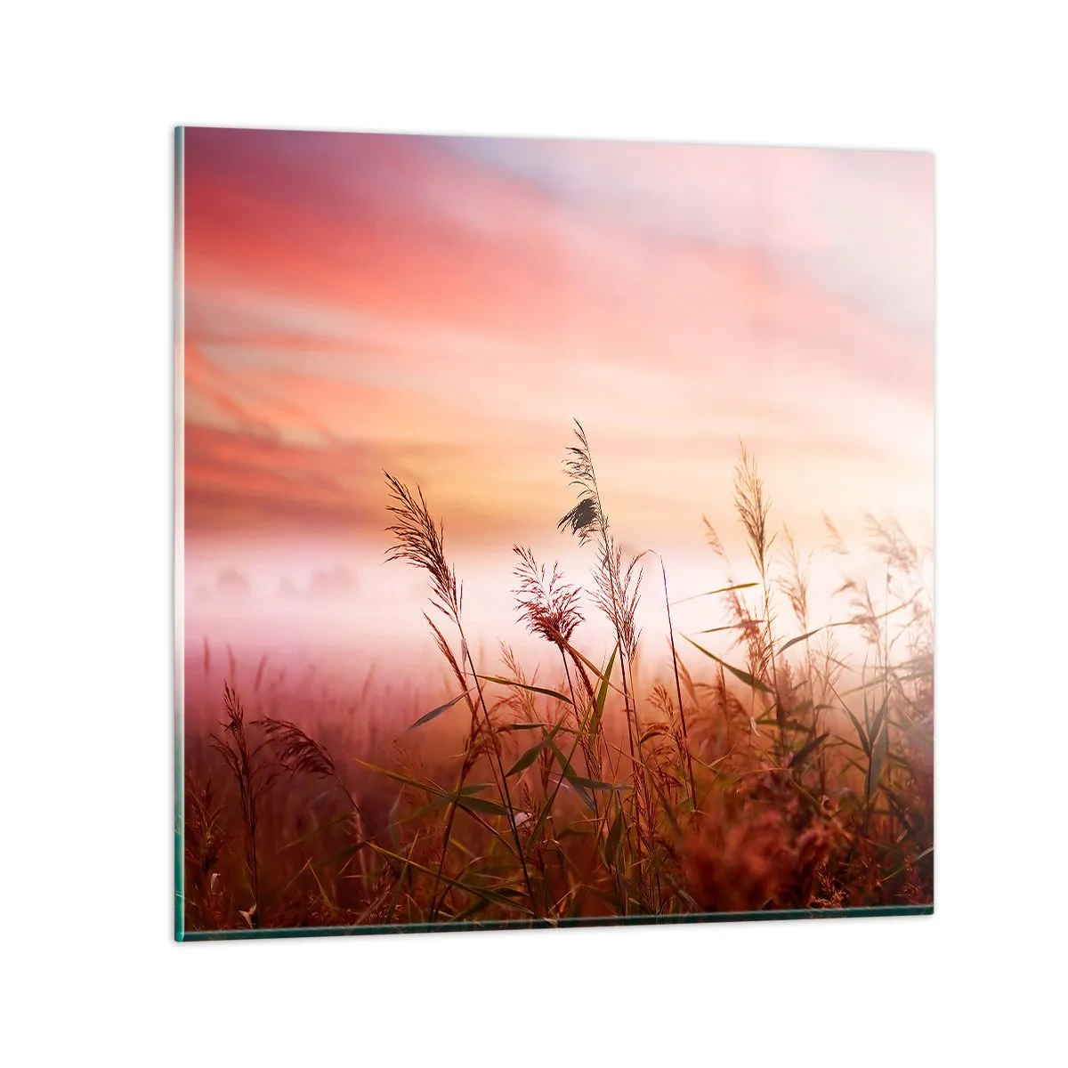 Obraz na skle - Draci, púpavy a vietor - 70x70 cm