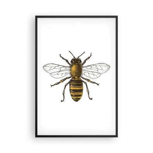 Plagát v čiernom ráme - Krásna a dobrá - 61x91 cm