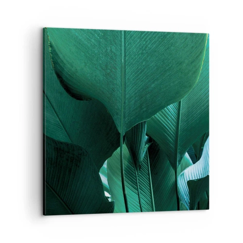 Obraz na plátne - Obrátené k svetlu - 50x50 cm