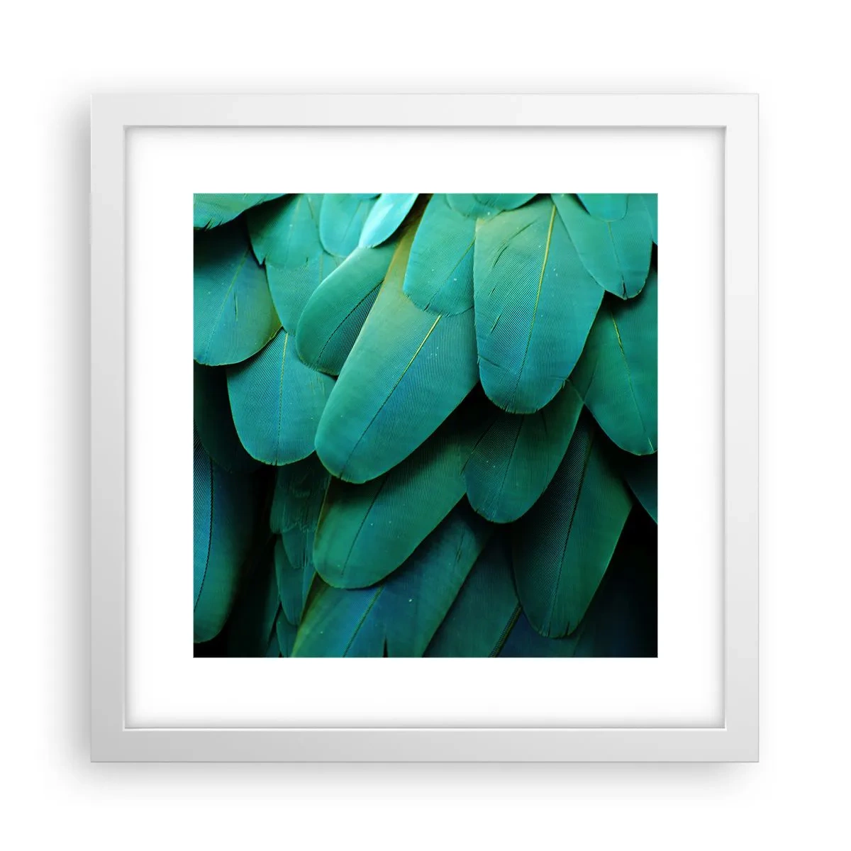 Plagát v bielom ráme - Presnosť papagájovej povahy - 30x30 cm