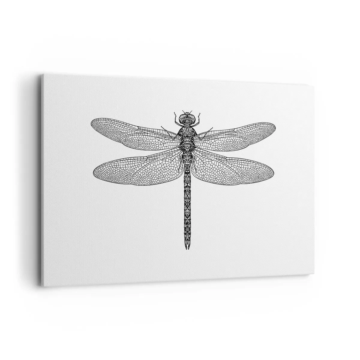 Obraz na plátne - Presnosť prírody - 100x70 cm