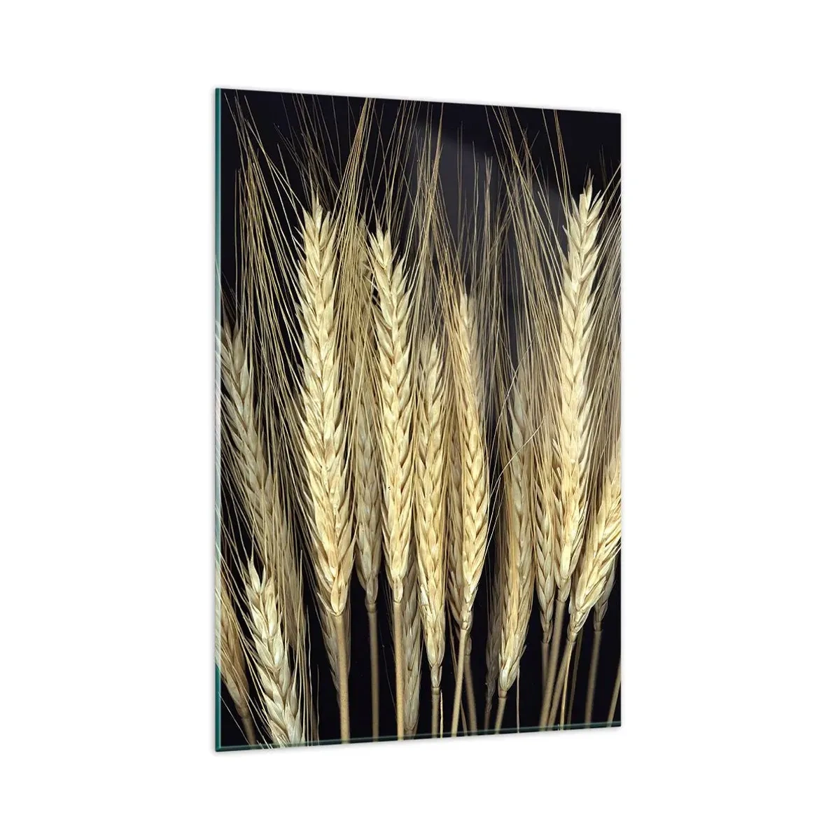 Obraz na skle - Rustikálna mágia - 80x120 cm