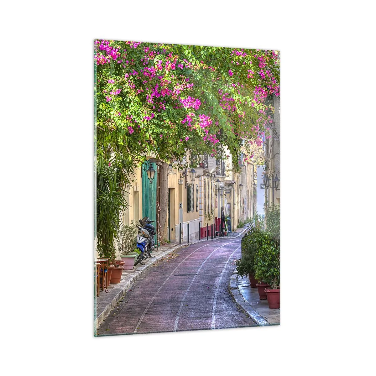 Obraz na skle - Kvitnúce zákutie - 50x70 cm