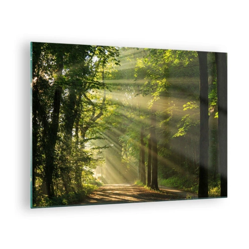 Obraz na skle - Lesná cesta osvetlená slnečnými lúčmi - 70x50cm - Lesný okamih - Moderná nástenná dekorácia do obývacej izby a spálne ARTTOR