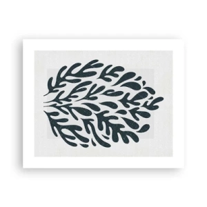 Plagát - Tvary prírody - 50x40 cm