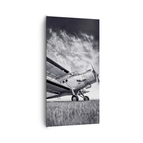 Obraz na plátne - Okrídlený pútnik - 65x120 cm