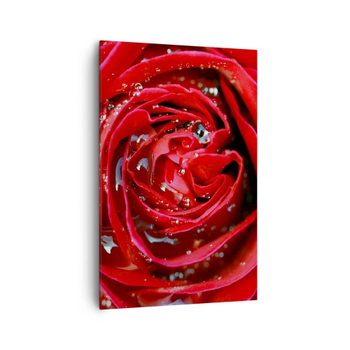 Obraz na plátne - V kvapkách rosy - 80x120 cm