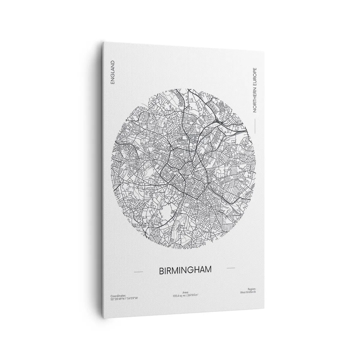 Obraz na plátne - Anatómia Birminghamu - 80x120 cm