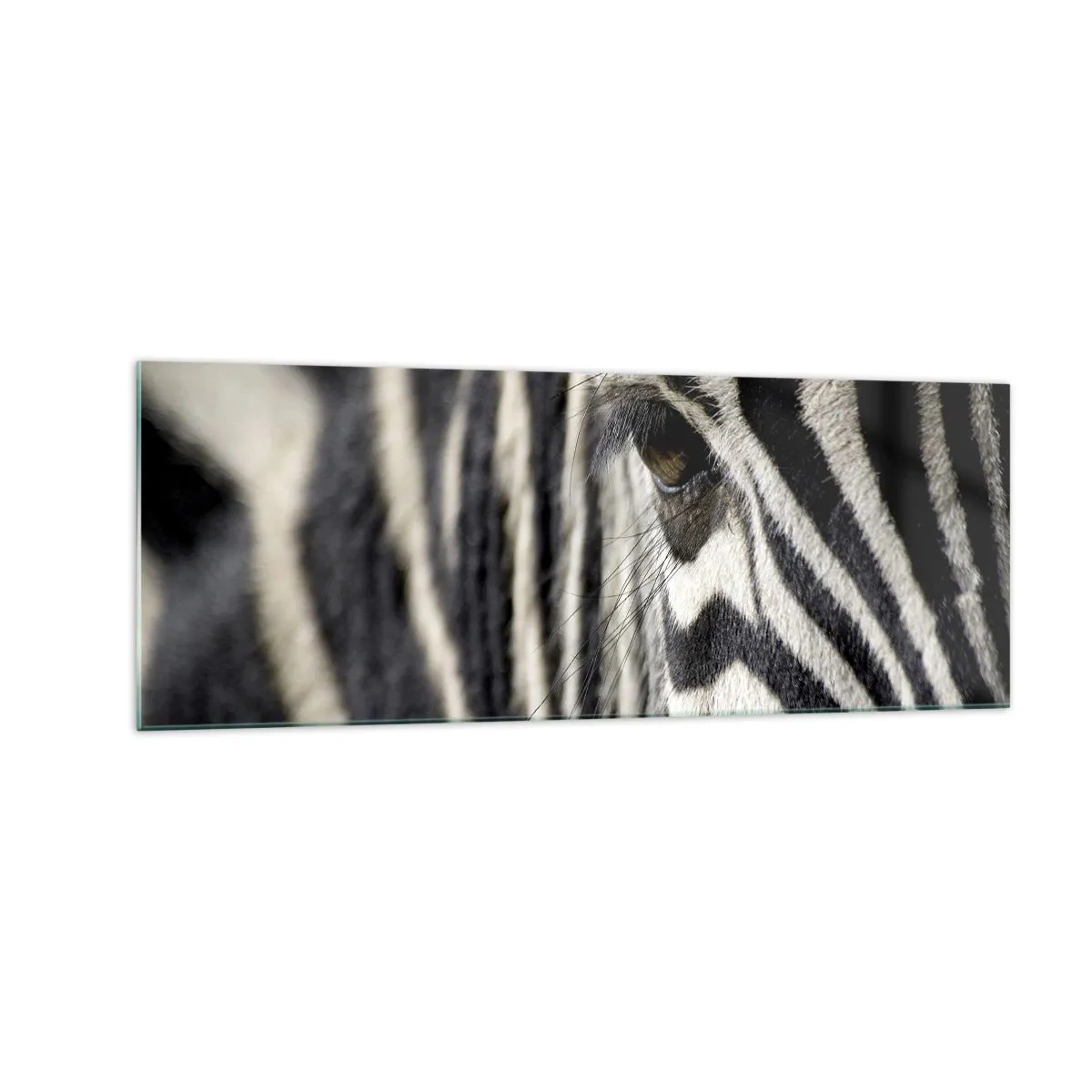 Obraz na skle - Portrét s pruhmi - 140x50 cm