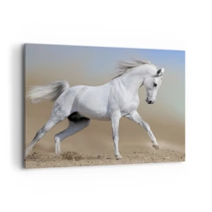 Obraz na plátne - Najkrajšia arabská rozprávka - 100x70 cm