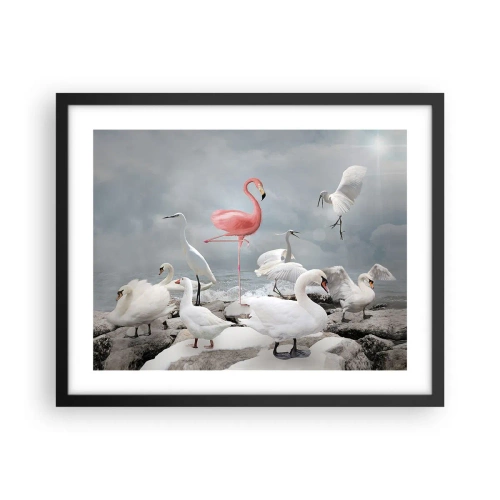 Plagát v čiernom ráme - Kde som sa tu vzal? - 50x40 cm