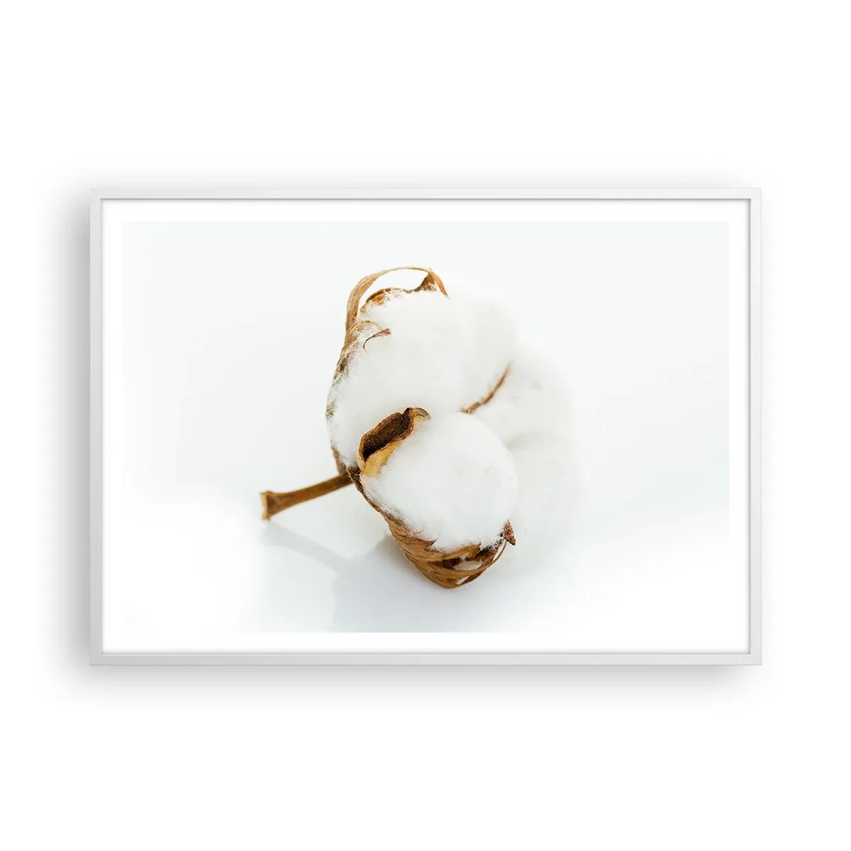 Plagát v bielom ráme - Mäkká od prírody - 100x70 cm