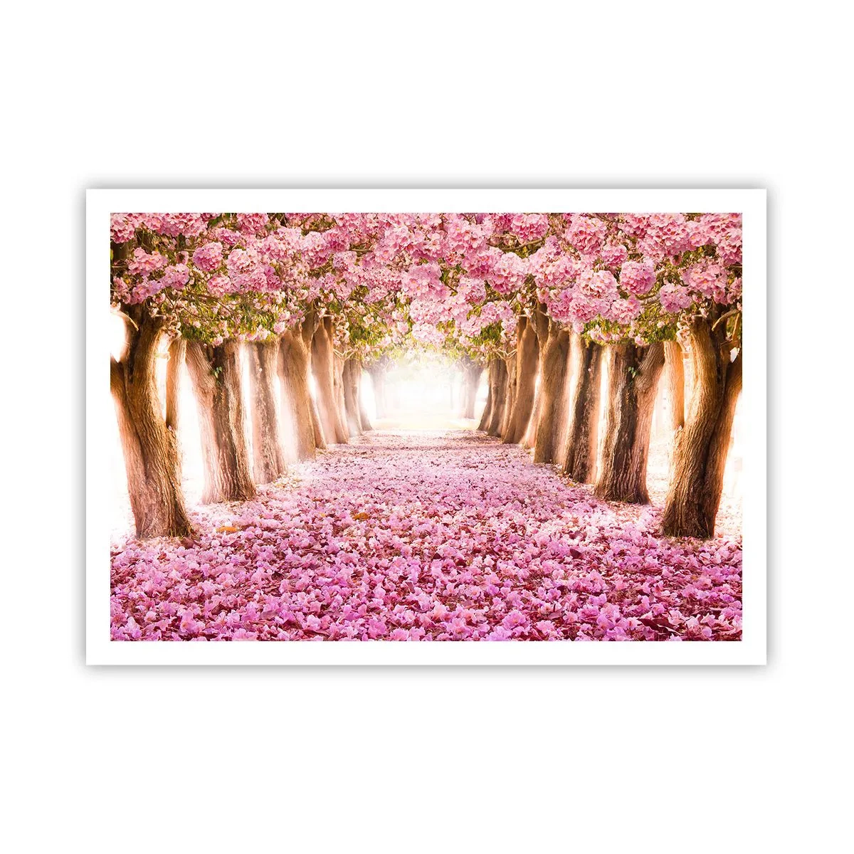 Plagát - Cesta do raja - 100x70 cm