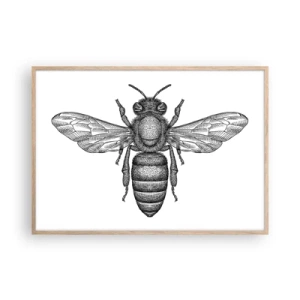 Plagát v ráme zo svetlého duba - Hmyzí portrét - 100x70 cm