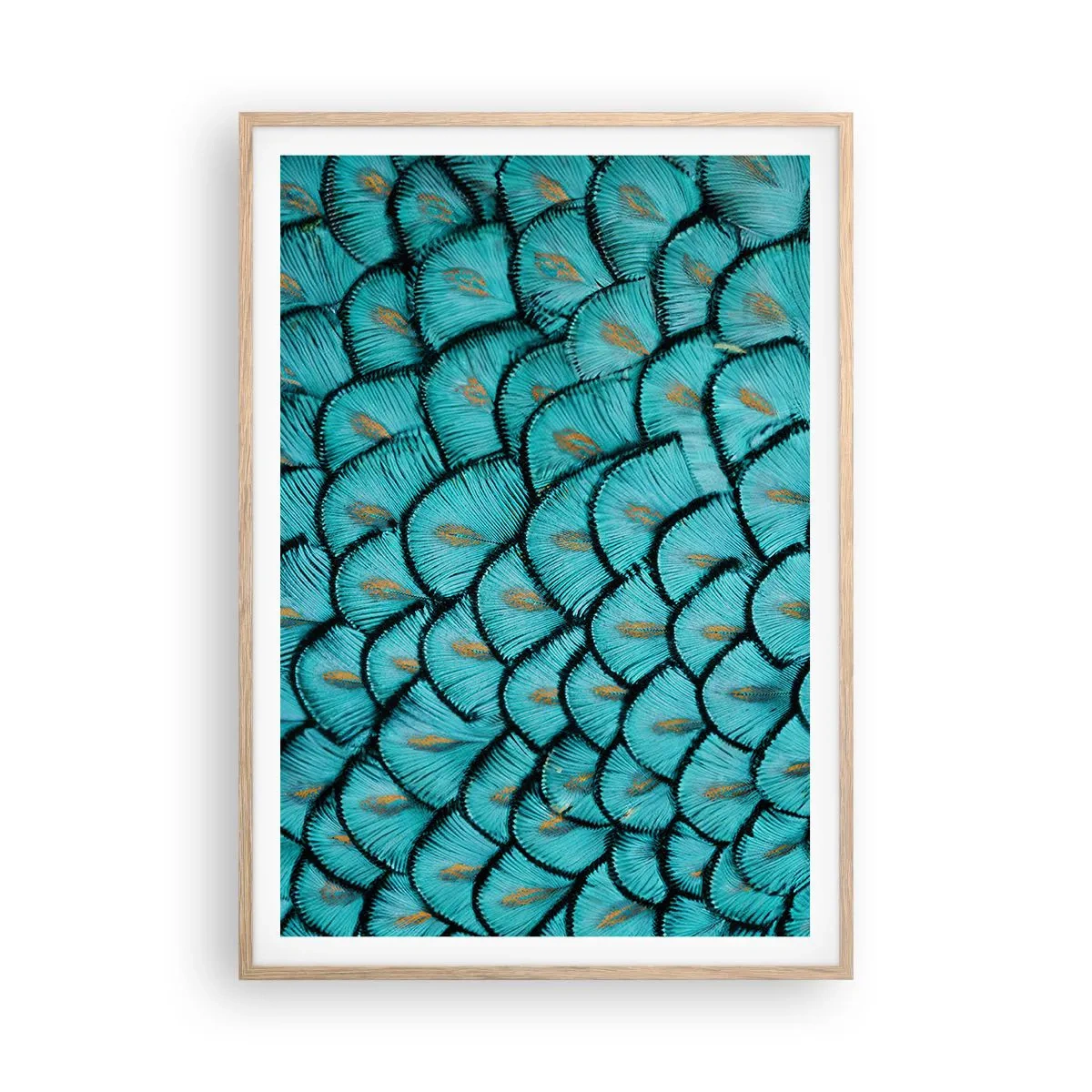 Plagát v ráme zo svetlého duba - Veľká slávnosť peria - 70x100 cm