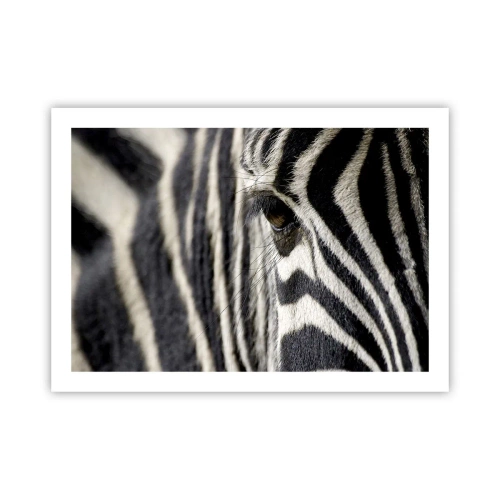 Plagát - Portrét s pruhmi - 70x50 cm