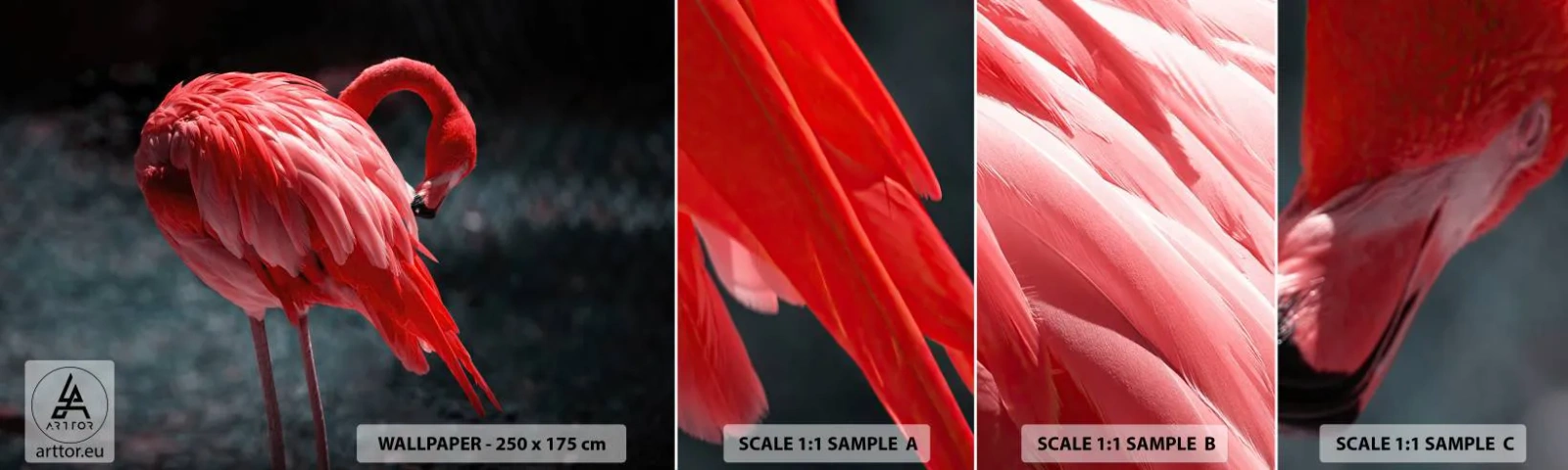 Vzorka Fototapeta Standard Eco - Karmínová báseň prírody - Flamingo, Vták, Príroda - 100x30 cm