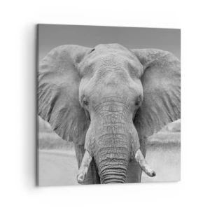 Obraz na plátne - Vitajte v mojom svete - 50x50 cm