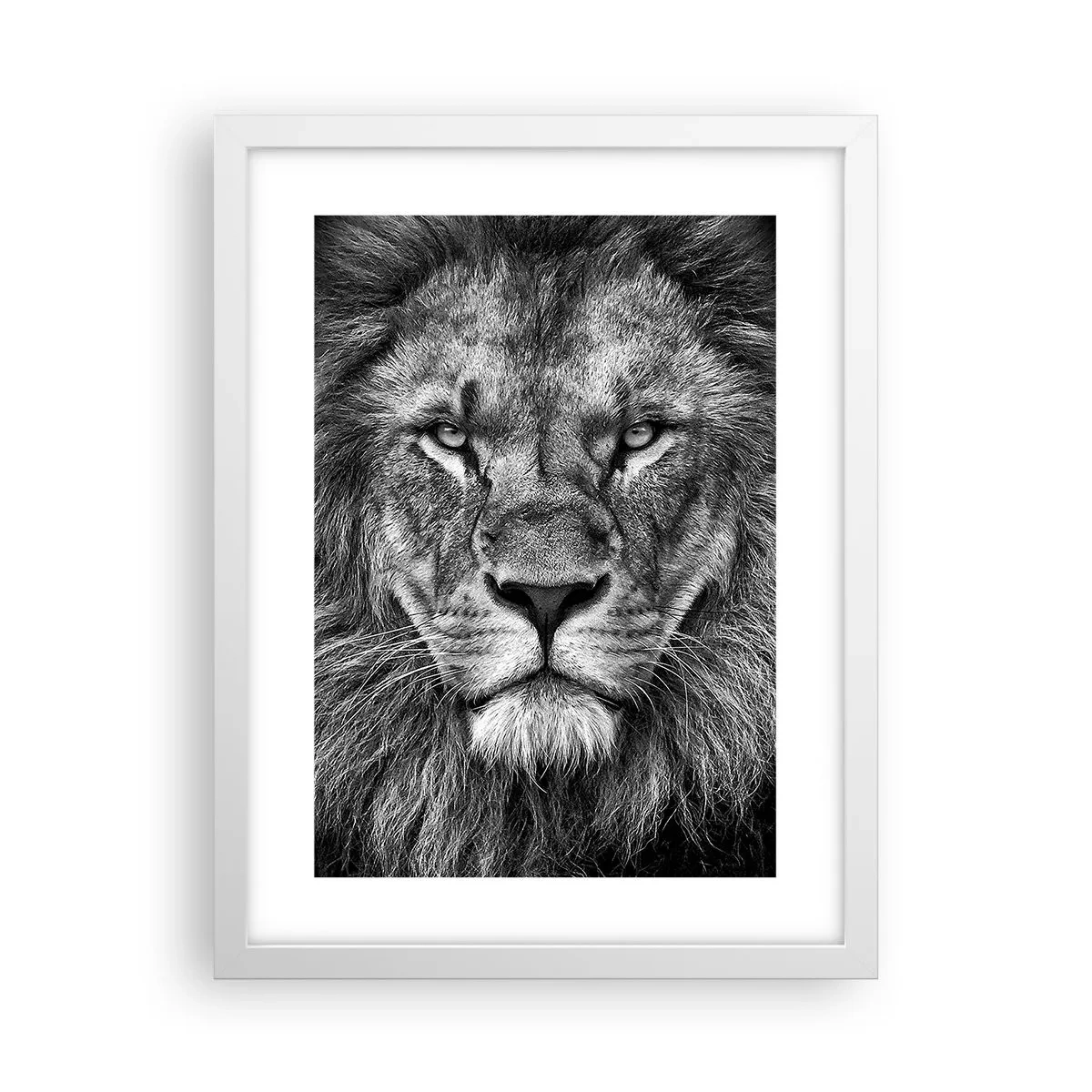 Plagát v bielom ráme - V korunovačnom odeve - 30x40 cm