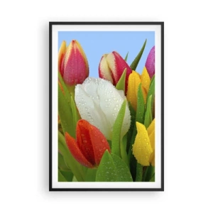 Plagát v čiernom ráme - Kvetinová dúha v kvapkách rosy - 61x91 cm