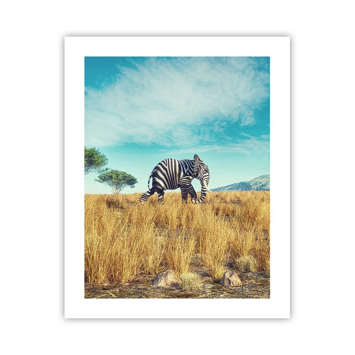 Plagát - Šedá už nie je v móde - 40x50 cm