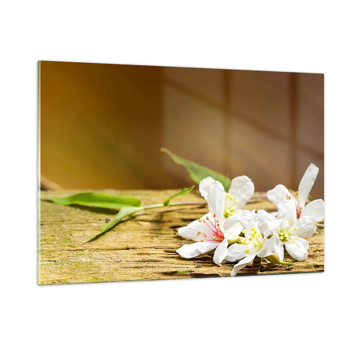 Obraz na skle - Nevinný prísľub - 120x80 cm