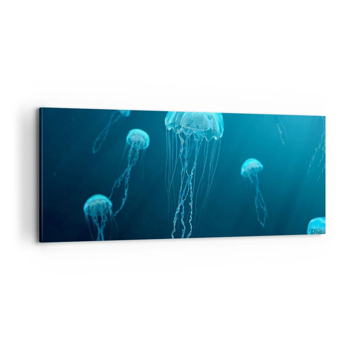 Obraz na plátne - Oceánsky tanec - 100x40 cm
