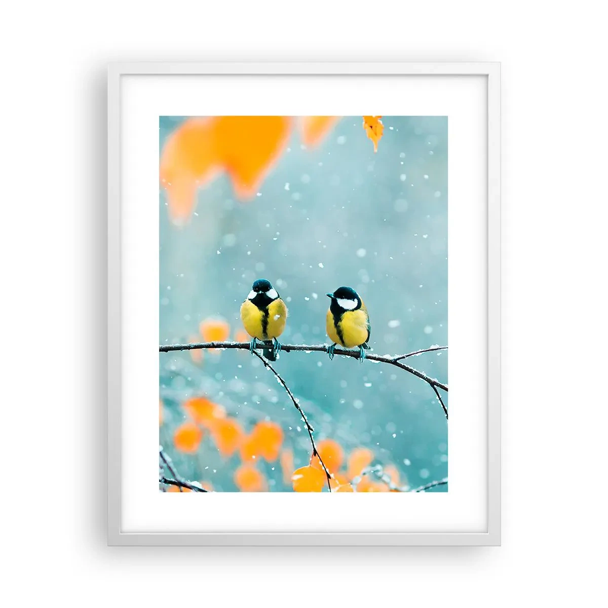 Plagát v bielom ráme - Vtáčie klebety - 40x50 cm
