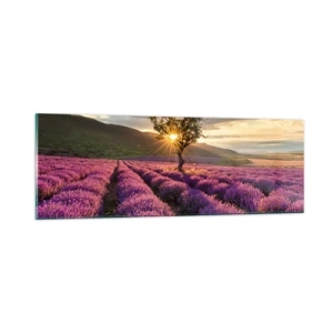 Obraz na skle - Aróma vo fialovej - 90x30 cm
