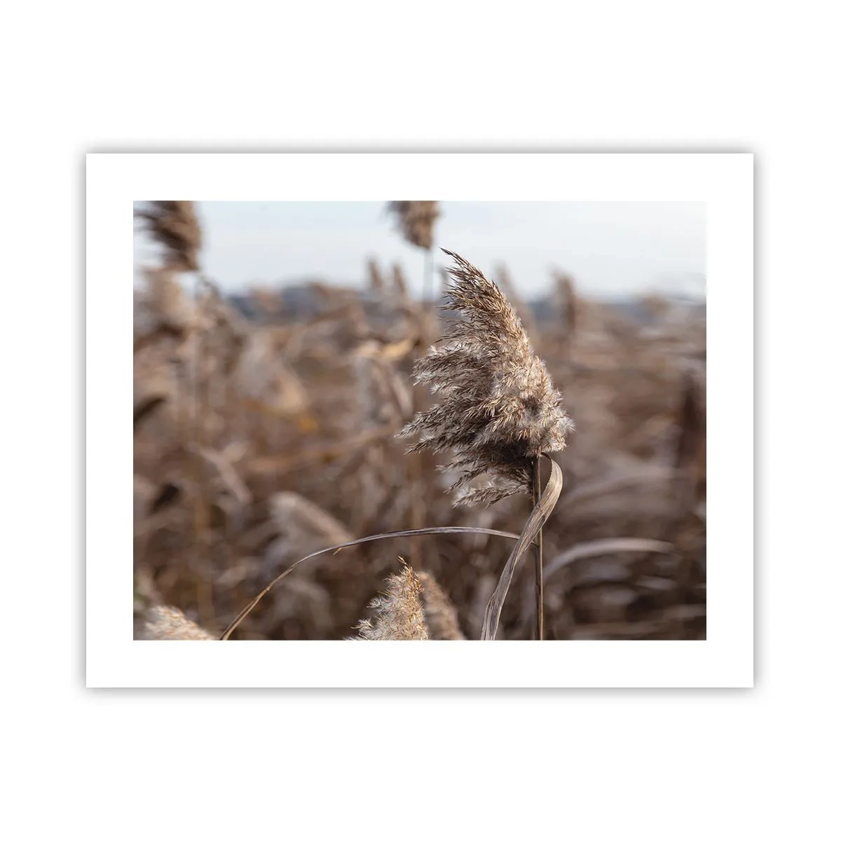 Plagát - Čas odletieť s vetrom - 50x40 cm