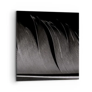 Obraz na plátne - Perie – nádherná konštrukcia - 70x70 cm