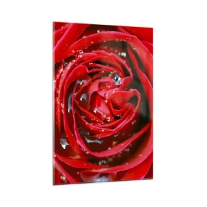 Obraz na skle - V kvapkách rosy - 80x120 cm