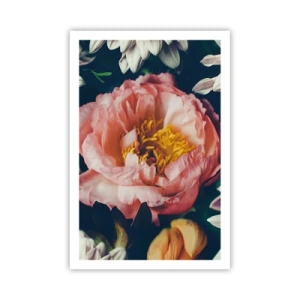 Plagát - S barokovým prepychom - 61x91 cm