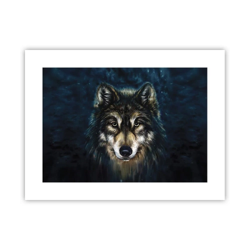 Plagát - Alfa? A omega - 40x30 cm