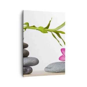 Obraz na plátne - Farby života a trvania - 50x70 cm