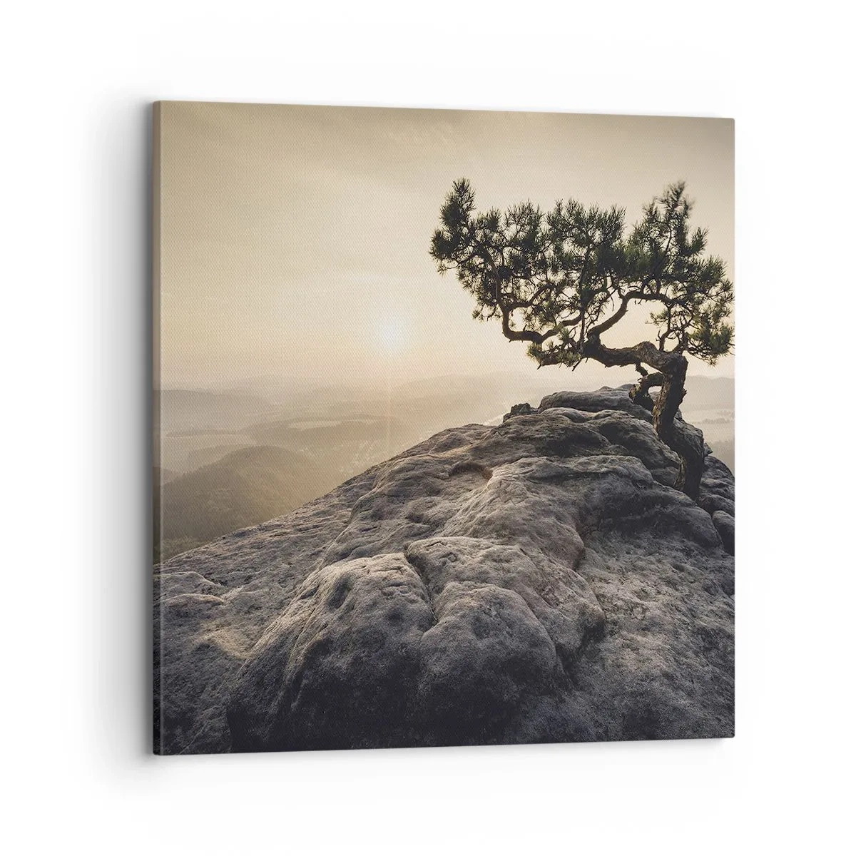 Obraz na plátne - Život vždy víťazí - 70x70 cm