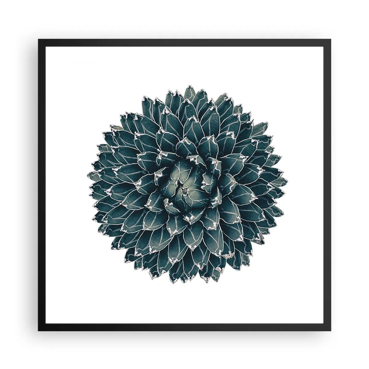 Plagát v čiernom ráme - Hviezda púšte - 60x60 cm