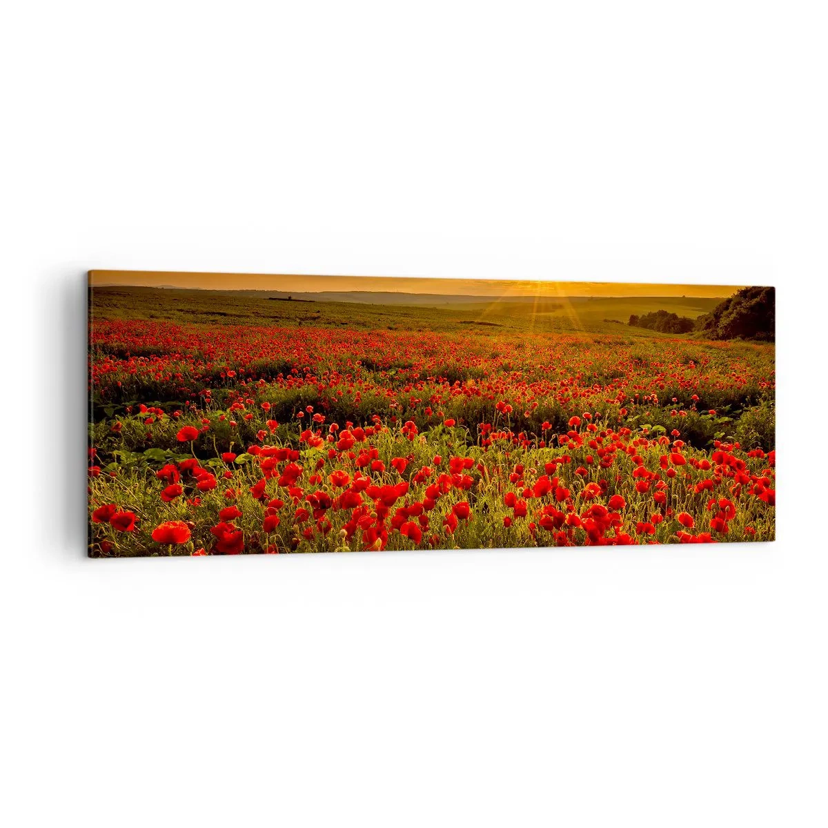 Obraz na plátne - Medzi vlnami šumiacich lúk, medzi záplavou kvetov - 140x50 cm
