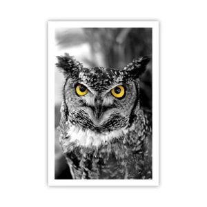 Plagát - Nič sa neschová - 61x91 cm